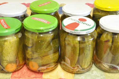 Sterilované okurky s křenem  – Snadné recept z Česko kuchyně, hotový za 60 - 90 minut